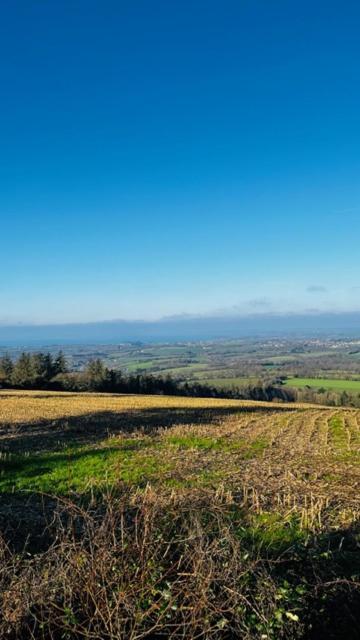 Sur Les Hauteurs De Locronan Luaran gambar